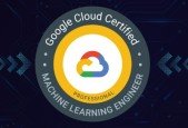 Professional Machine Learning Engineer Updated Aug 2024