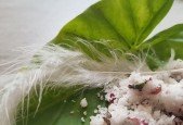 Angel Creations -Creating your Own Angelic Products