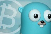 programming bitcoin elliptic curve