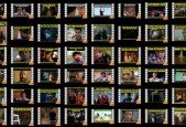 Make Memes And Gain Virality- A Complete Guide