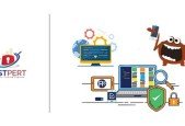 Your Guide to Start Software Testing Career
