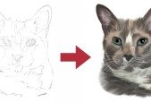 Procreate Digital Painting- Mastering Cat Portrait Art