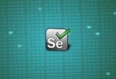 Selenium Starter program