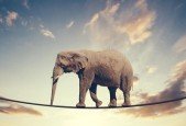 The "All Things are Possible" System to Manifest Your Dreams