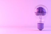 Personal and Team Productivity in Business Life
