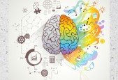 Whole Brain Development Training
