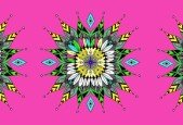 Ipad (Pro) + Procreate- Mandalas malen und animieren. +Bonus