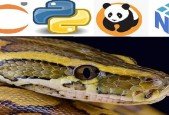 2022 Python Bootcamp for Data Science Numpy Pandas Seaborn