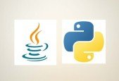 Complete Python and Java Programming BUNDLE [new]