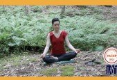 Foundation Skills for a Successful Meditation Practice