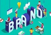 Brand Management and Marketing Strategy