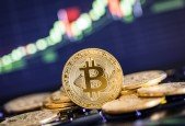 The Basics of Bitcoin, Cryptocurrency and NFTs