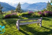 The power of self renewal