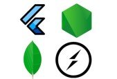 Flutter and Nodejs Course - Job App With Chatting
