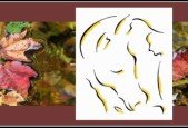 The Art and Science of Conscious Living- Protocol Process