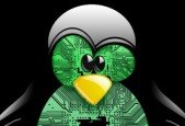 Basic linux command for begineers