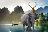Fun with Photos- Photobashing and Photo Manipulation (2021)