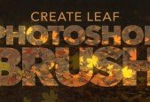 Create leaf brush set in Photoshop!