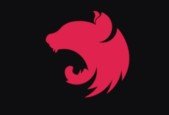 The complete NestJS developer. Enterprise Node.js framework