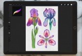 Learn 3 Watercolor Techniques in Procreate