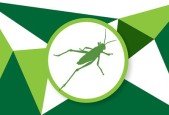 The Grasshopper Bible- Fundamentals