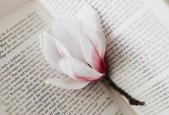 Self-Publish Your Paperback Poetry Book