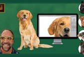 Vector Illustration 1- Drawing Dogs Animals