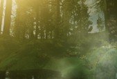 The joy of unity, creating forests