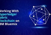 Working With Hyperledger Fabric Blockchain on IBM Bluemix