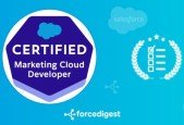 Salesforce Certified Marketing Cloud Developer Test Prep