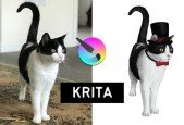 Krita for Beginners
