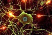 Data Science- Modern Deep Learning in Python