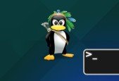 Mastering Linux Command Line (with Live Linux Labs)