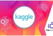Kaggle Master with Heart Attack Prediction Kaggle Project