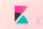 Data Visualization with Kibana