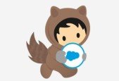Salesforce Marketing Cloud Email Specialist