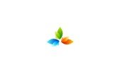 Professional Certification in Web Development