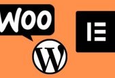 Beginners Guide to WordPress, Elementor WooCommerce