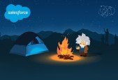 Salesforce Associate Practice Plan