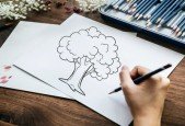 My Secret Tree -Trees drawing diagnosis