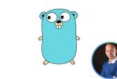 GoGolang Professional Interview Questions