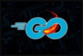 Learn GO Fast- Golang for Experienced Devs