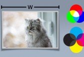 Understanding Images