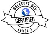 MuleSoft Certified Developer (MCD) Level 1 Practice Tests