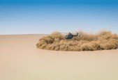 Learn to make Helicopter Dust in Houdini from Scratch