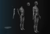 Learn How To Sculpt A Female Anatomy Figure In ZBrushCore