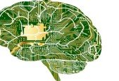 Getting Started with Embedded AI - Edge AI