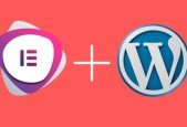 Build Responsive Real World Portfolio WordPress Website