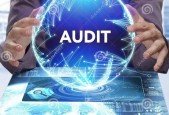 PRACTISING AUDIT