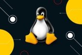 Learn Linux and Shell Scripting From Basic To Advanced